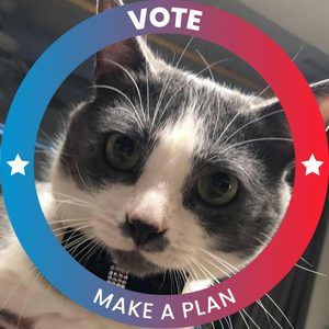 Meet your Posher, Sonia